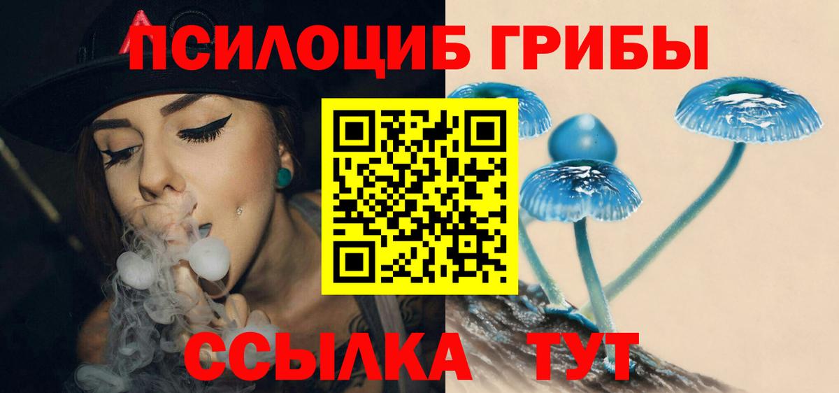 Галлюциногенные грибы Psilocybe  Вход с VPN  Нальчик 
