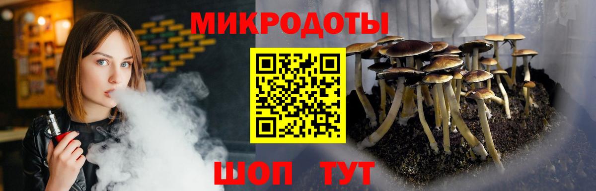 Псилоцибиновые грибы Нальчик